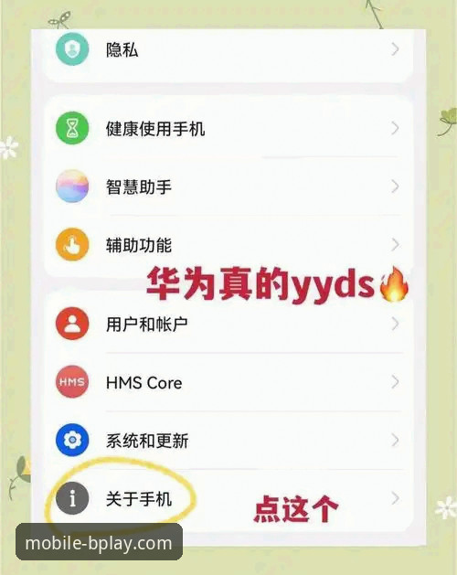 5个B体育手机客户端手机版使用技巧，老用户亲测有效的流畅体验指南